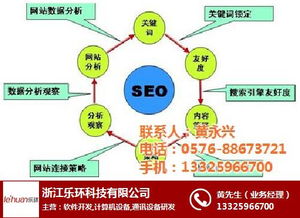 樂環(huán)科技 軟件開發(fā)驅(qū)動下的外貿(mào)推廣新選擇
